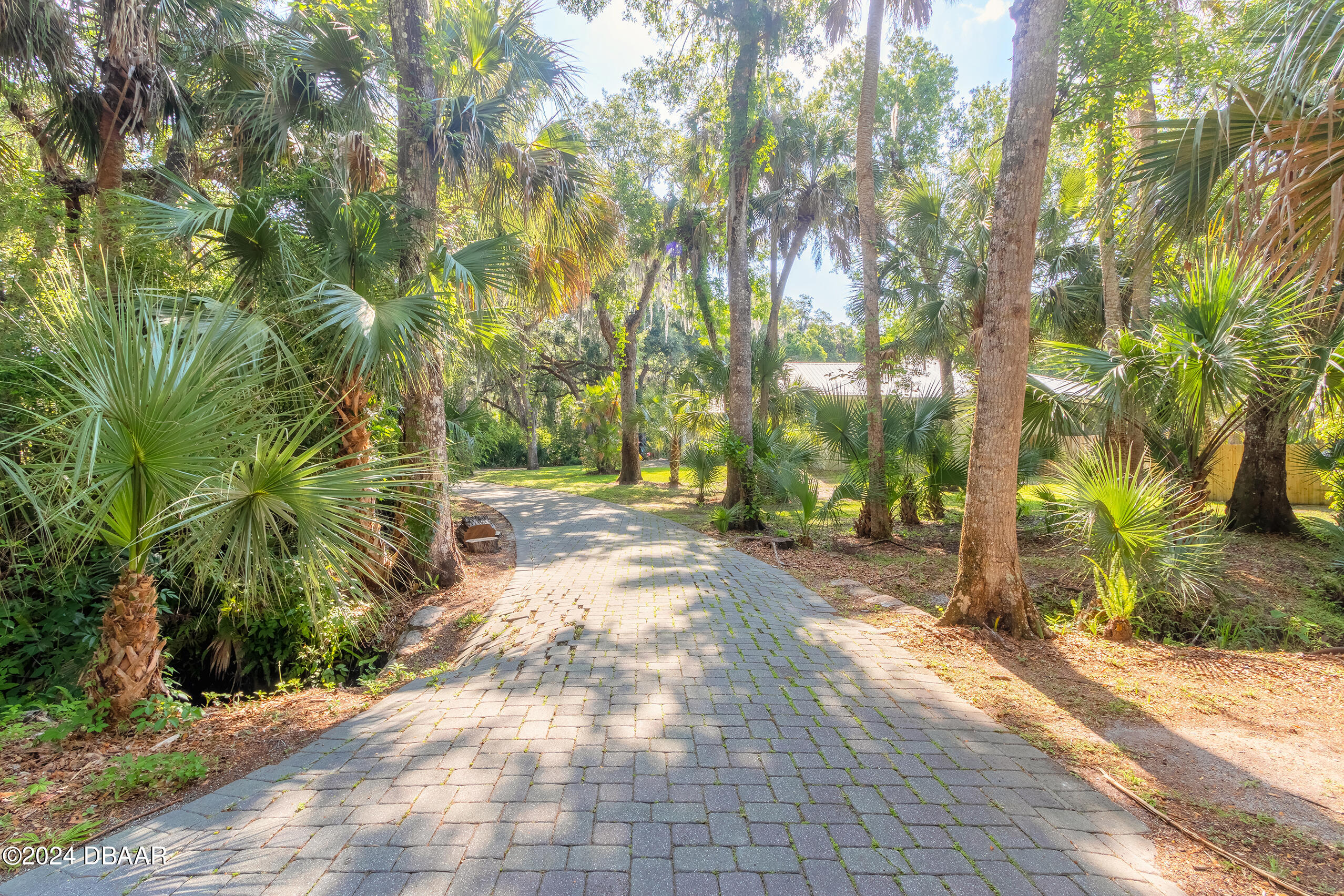 a view of a yard with plants and trees