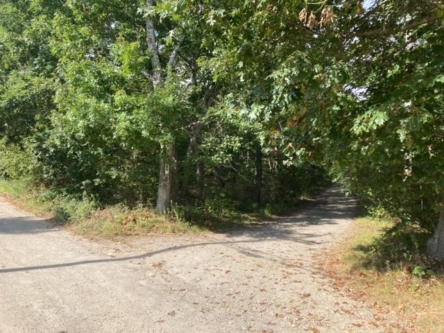 a view of a yard with a tree