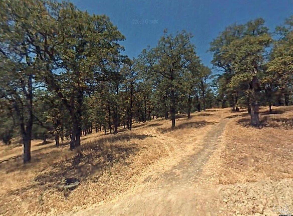 a view of outdoor space with trees