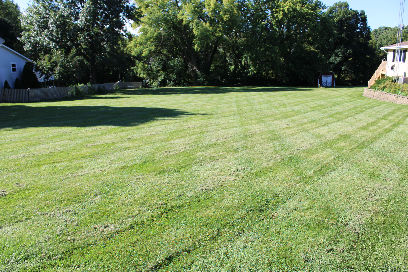 a view of a field of grass and trees