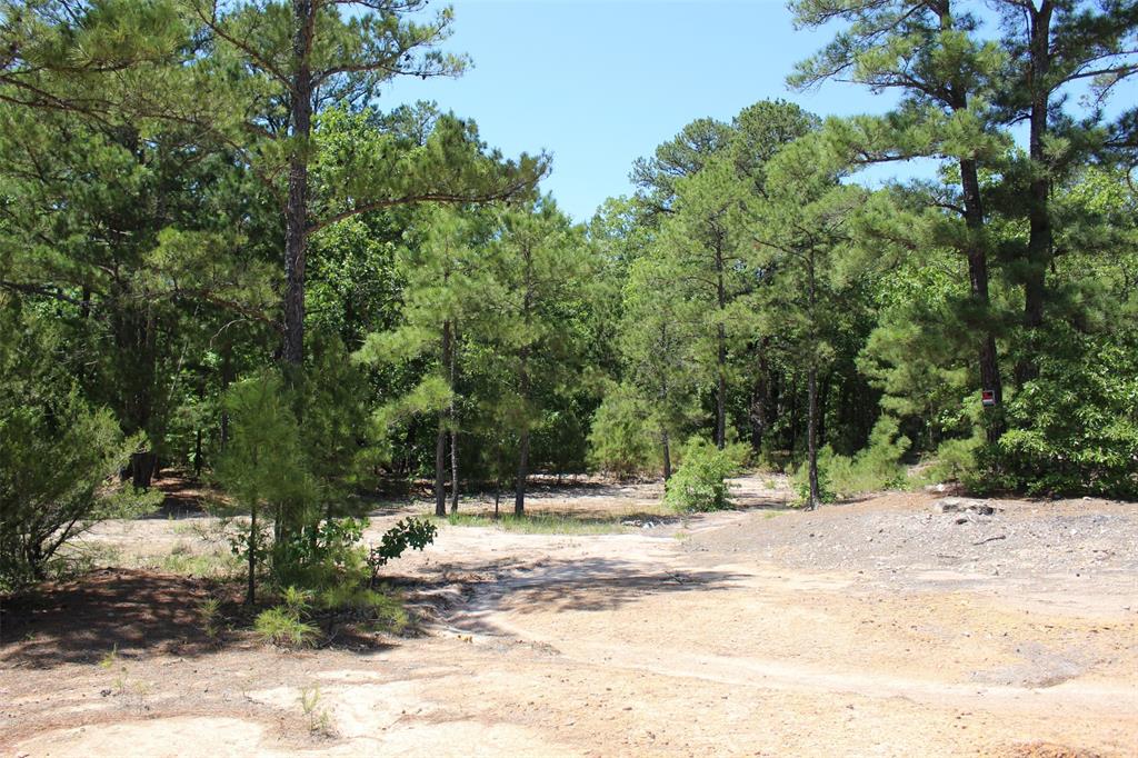 a view of road with trees