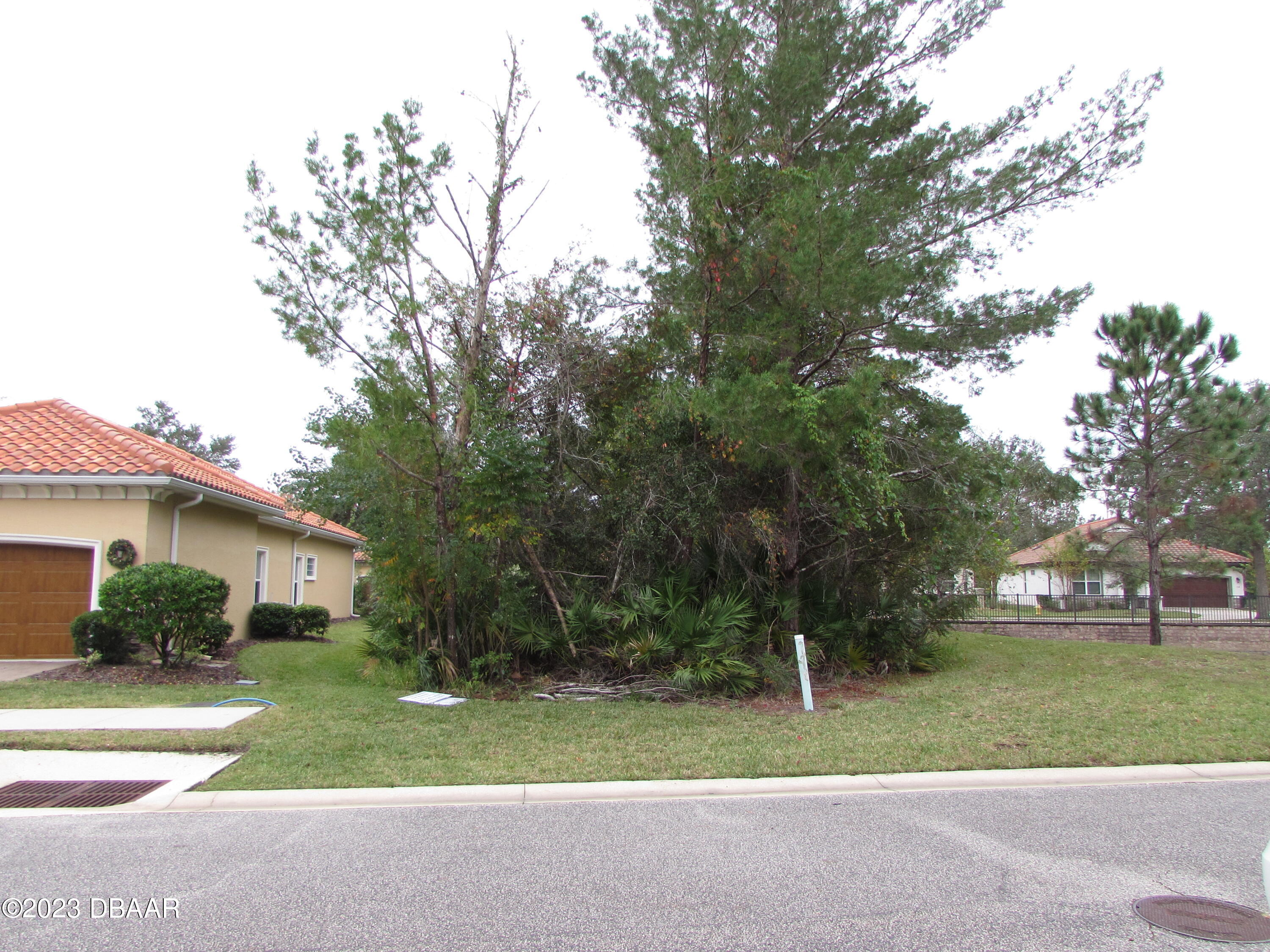 a view of a house with a yard and tree s