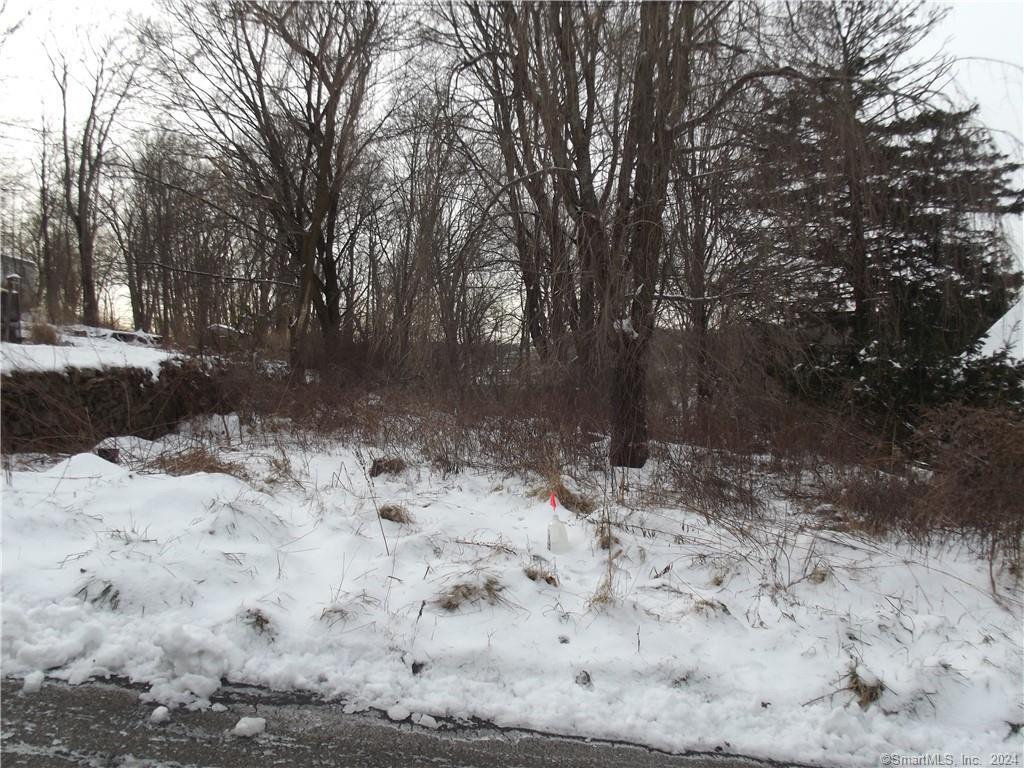 a view of yard covered with snow in outdoor space