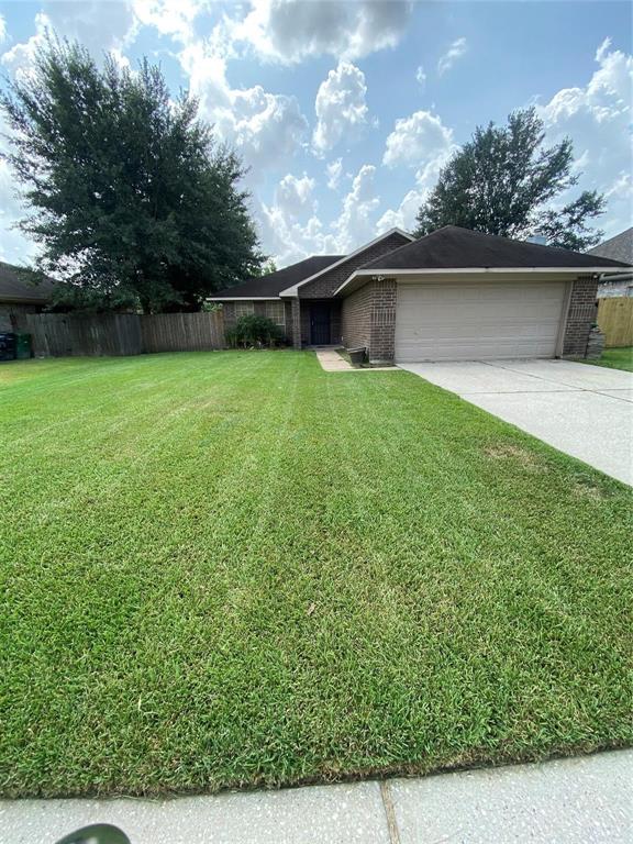 a view of a backyard with plants and large trees