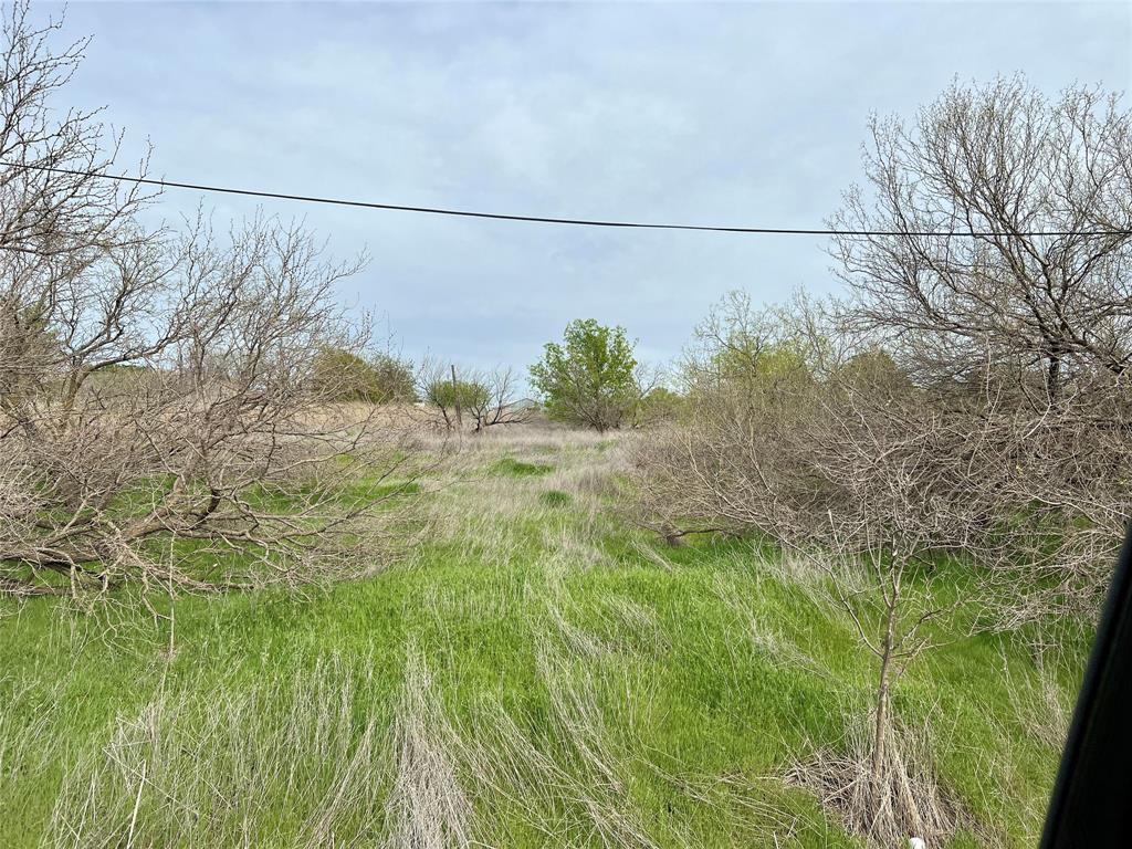 a view of a yard