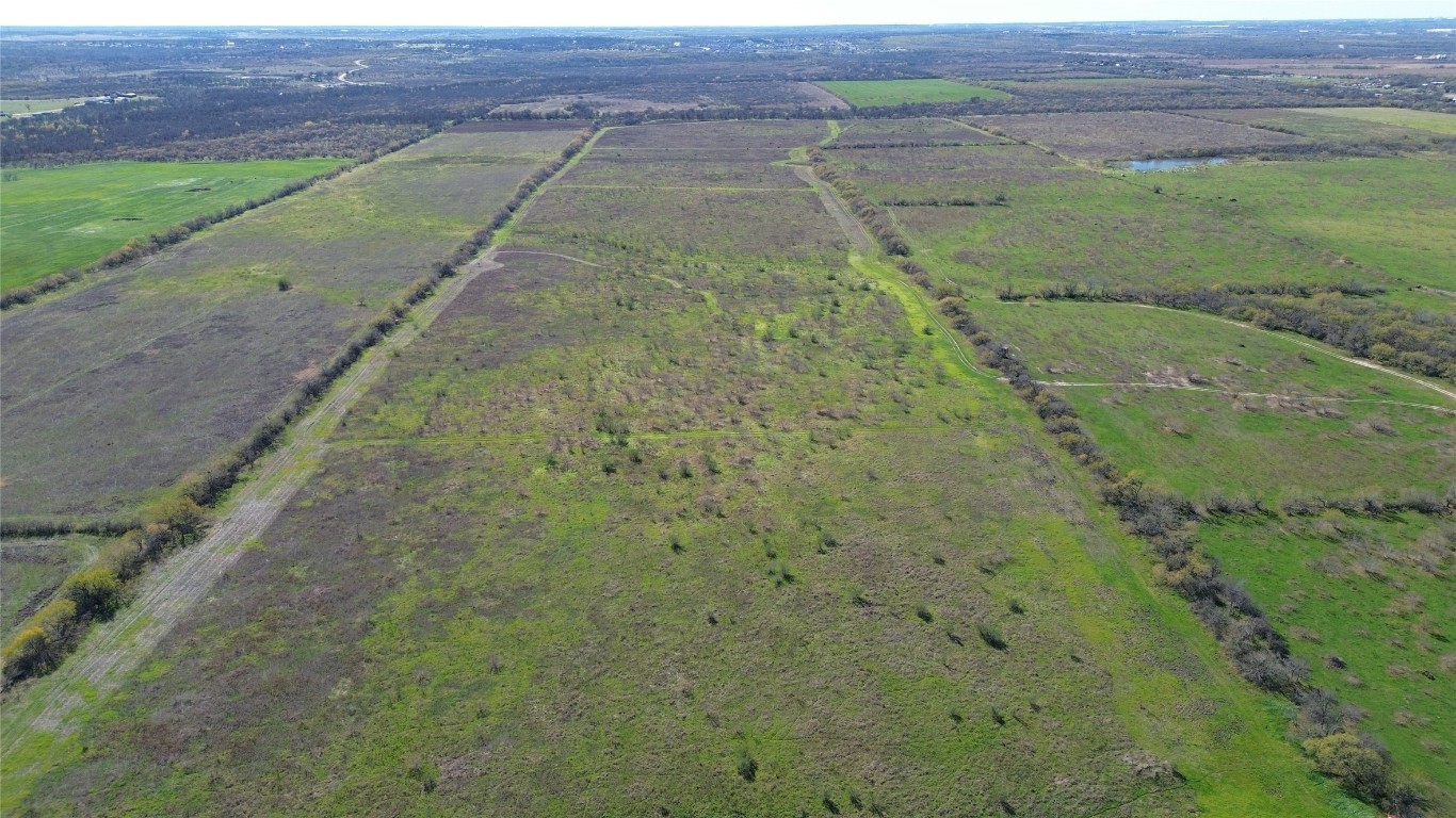 a view of a yard