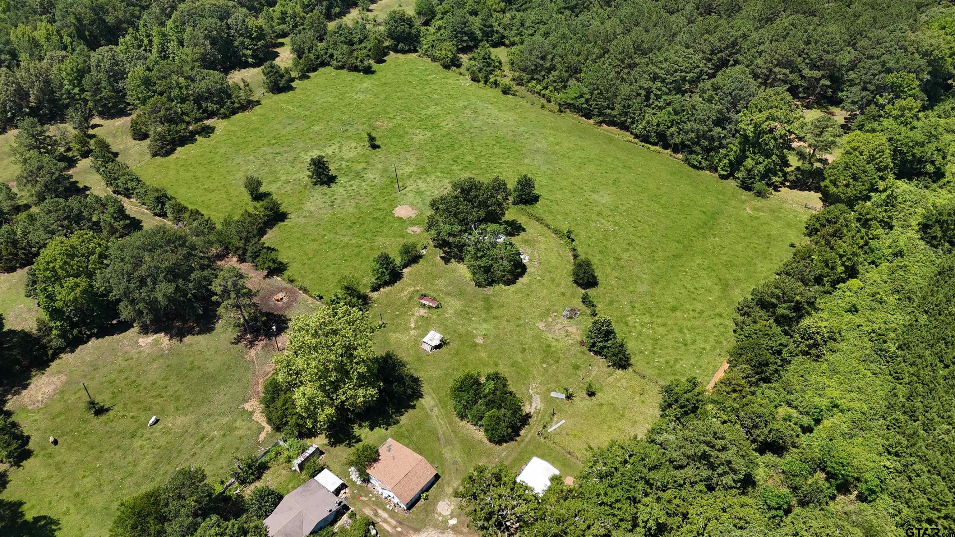 a view of a garden