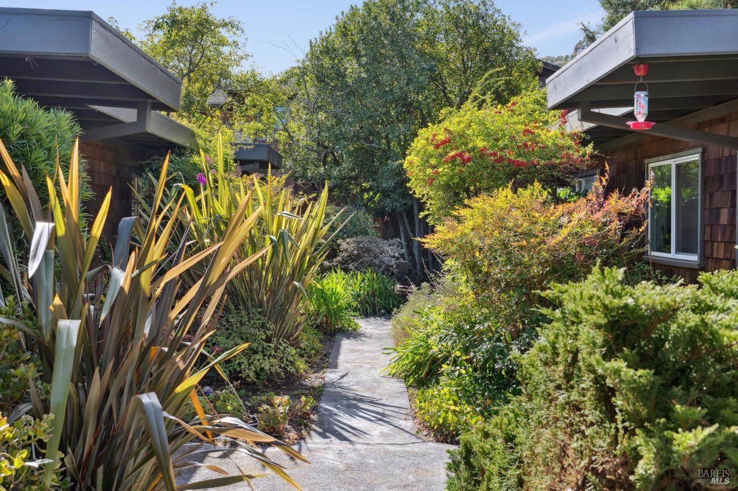 a backyard of a house with lots of green space