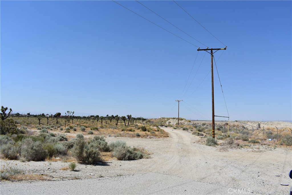 a view of a dry yard