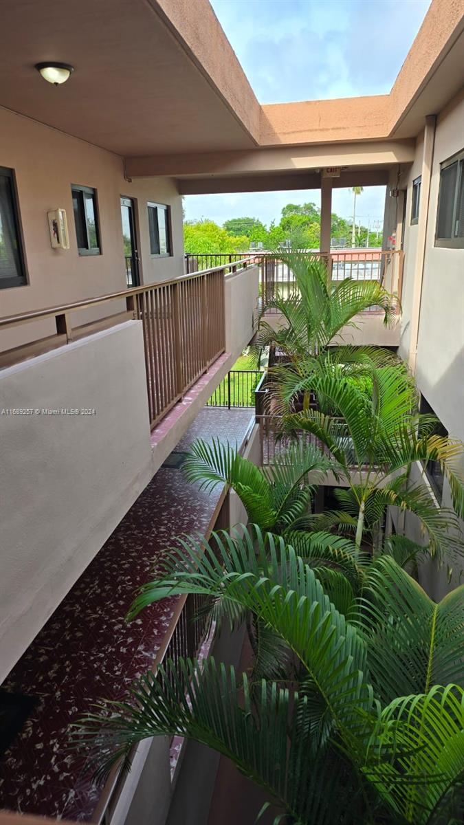 a view of a garden with plants and large trees