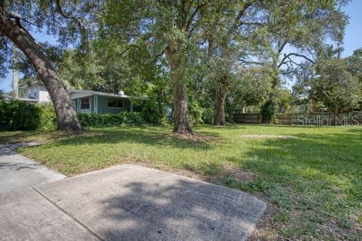 a view of a backyard with large trees