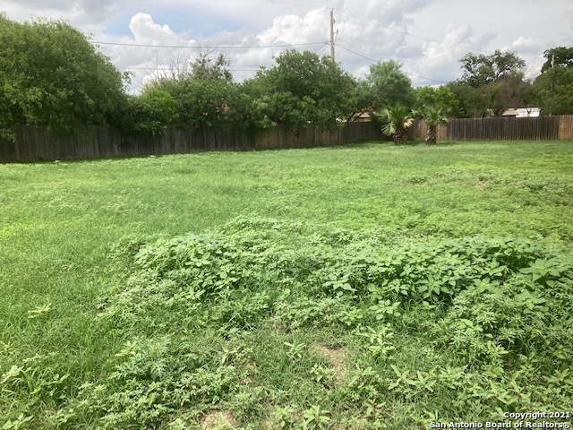 a view of outdoor space with a yard