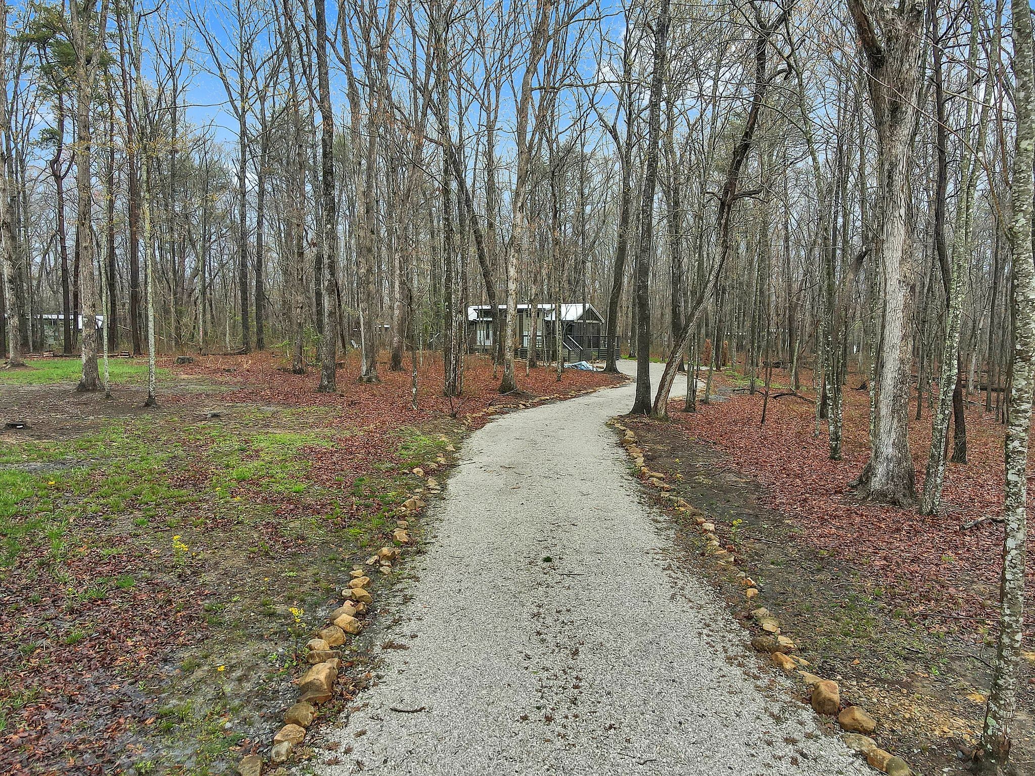 a view of outdoor space with trees