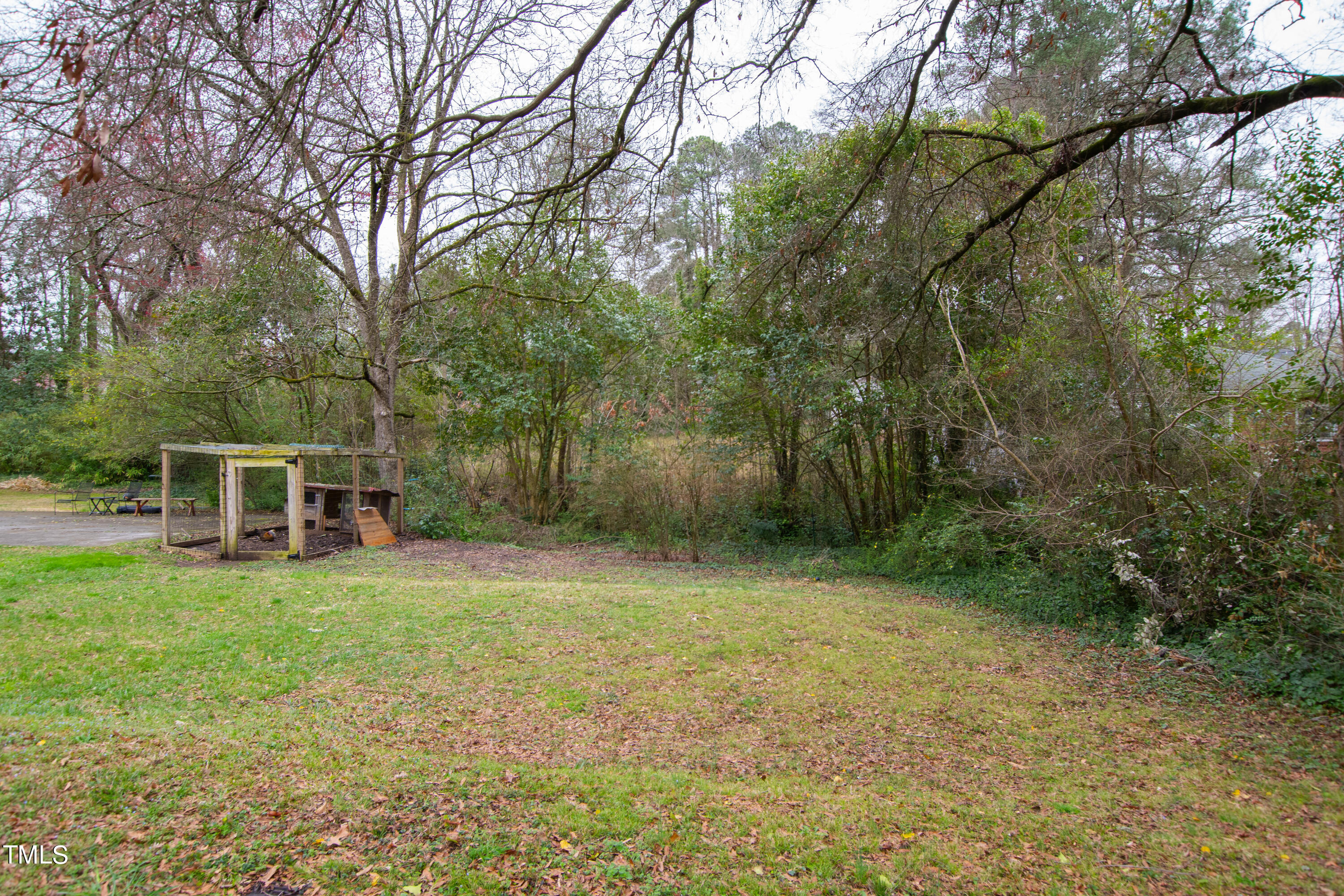 a view of a backyard with large trees