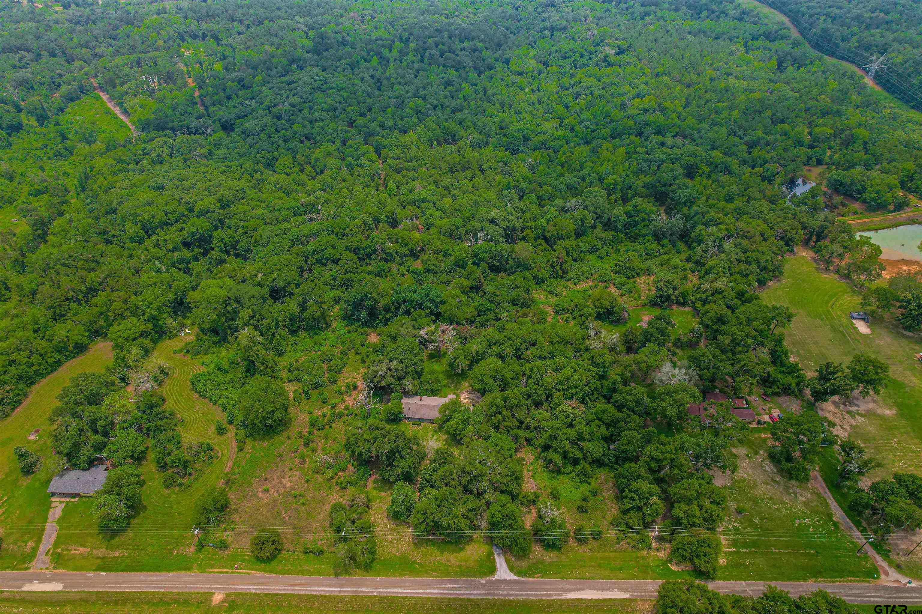 a view of a yard