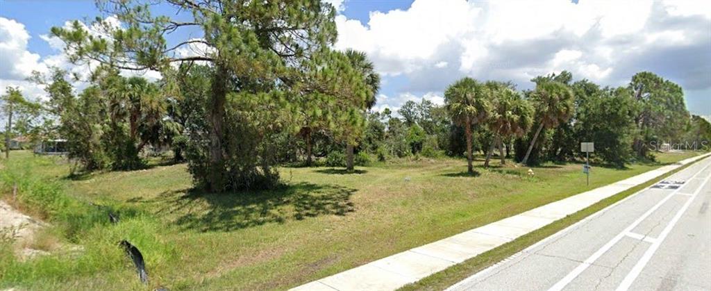 a view of a yard with large trees