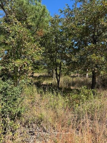 $49,000 | Lot 71-and Choctaw Trail | Lake Thunderbird