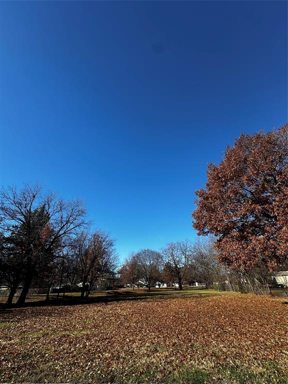 a view of outdoor space and yard