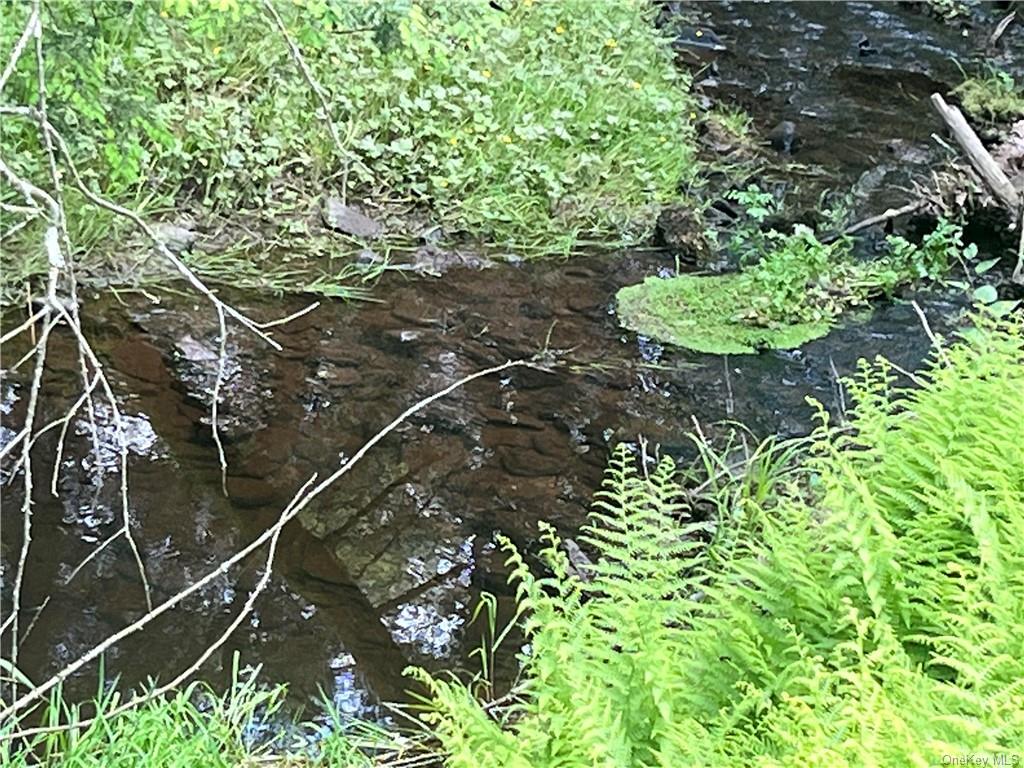 View of nature with a water view