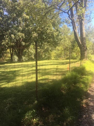 a view of an ocean and a yard