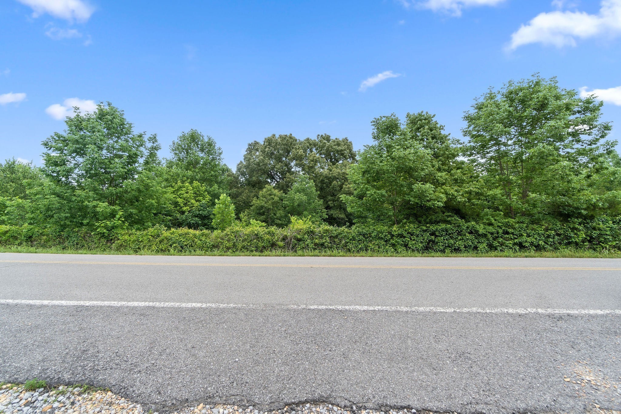 a view of a field with trees in the background