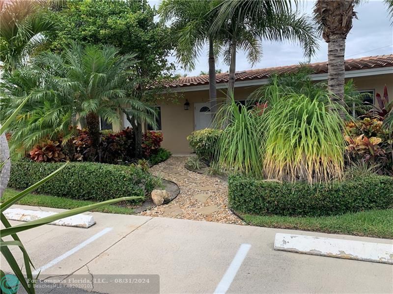 a view of a backyard with plants and palm trees