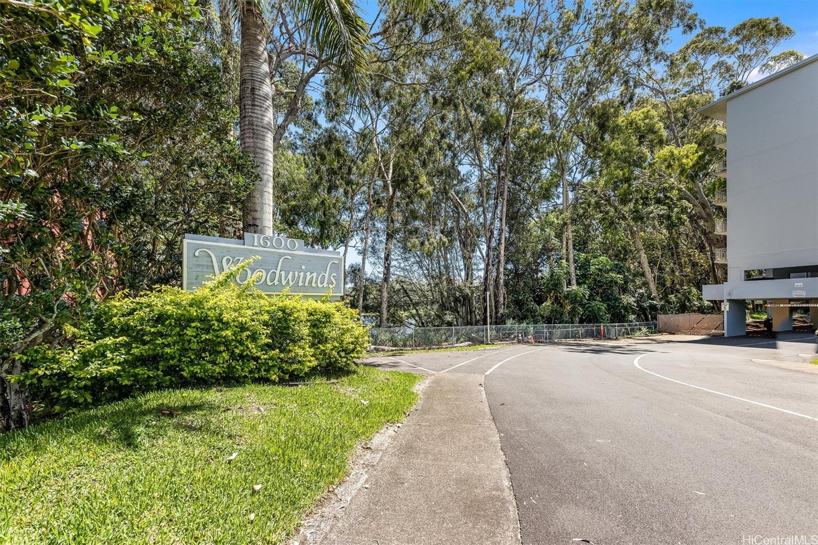 a park view with a bench under large trees