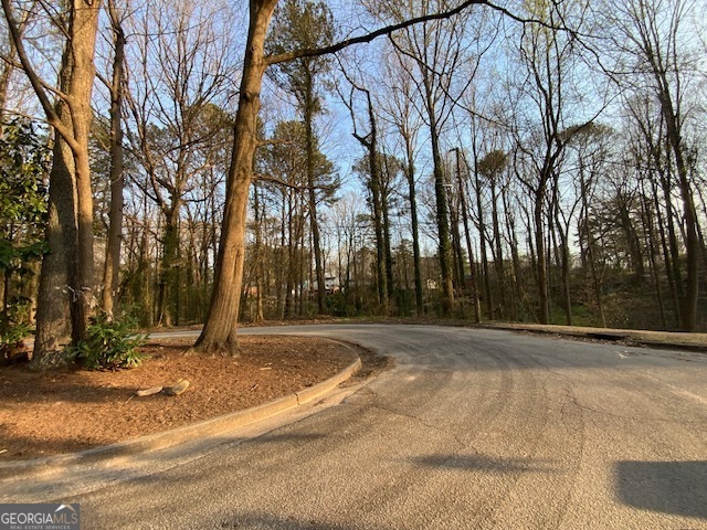 a view of backyard space