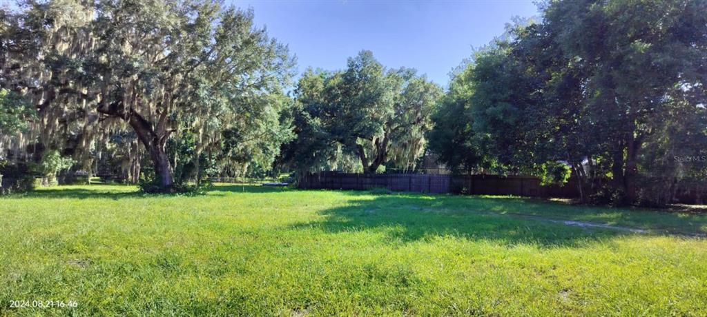 a view of a trees in a yard