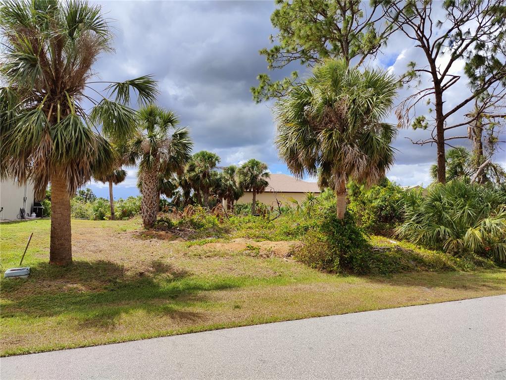 a view of a yard with palm trees