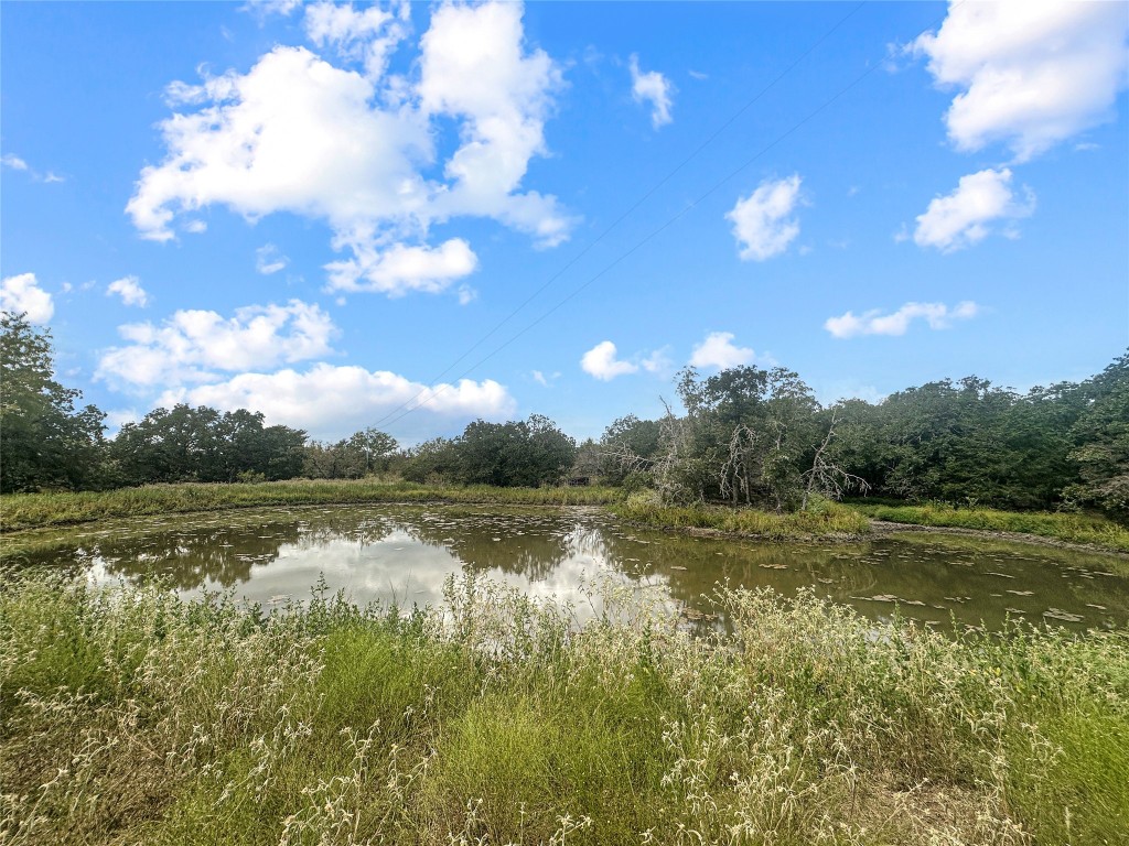 a view of a lake with houses in the background