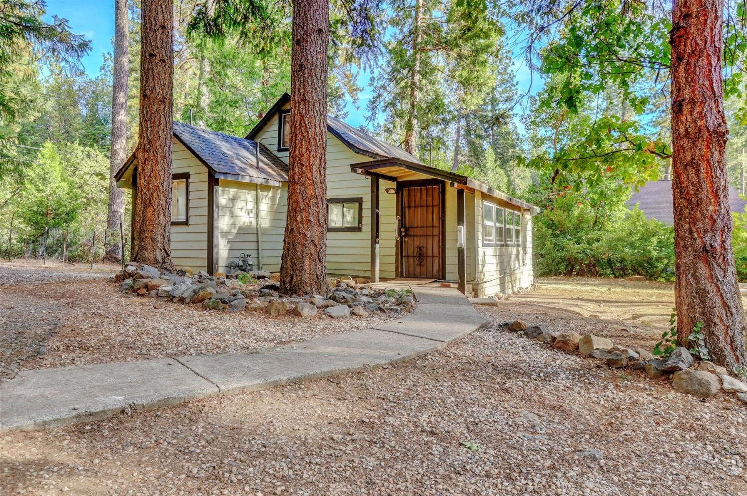 a view of a house with yard and a tree