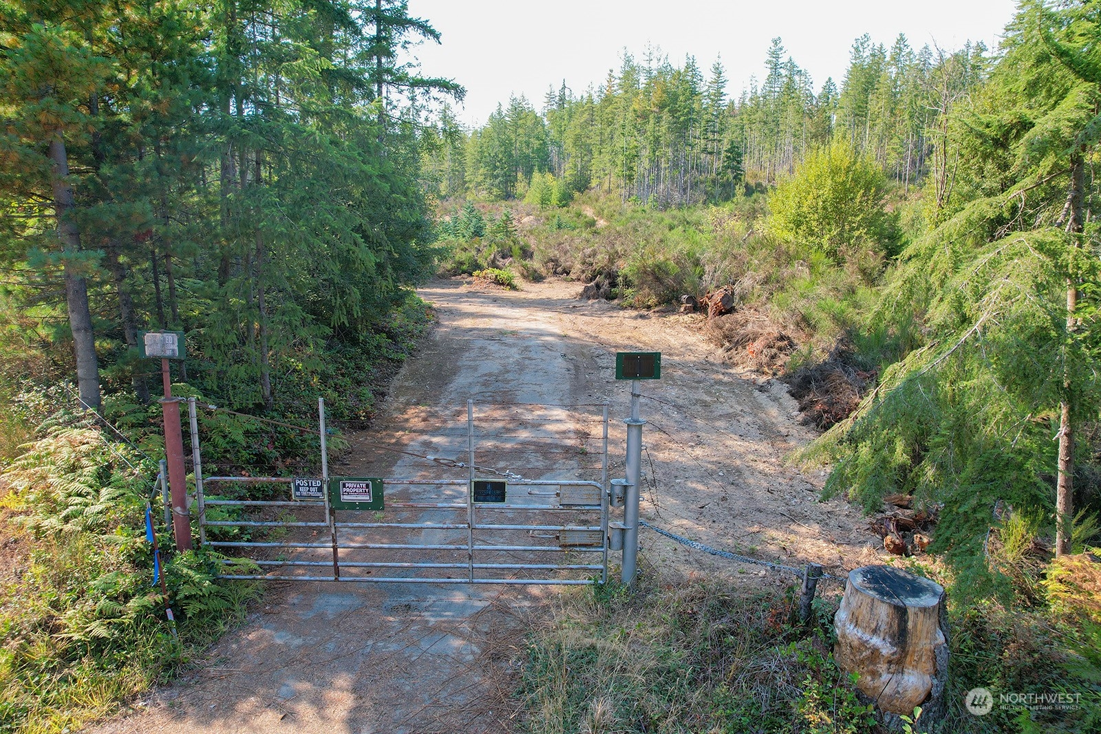 a view of yard with green space