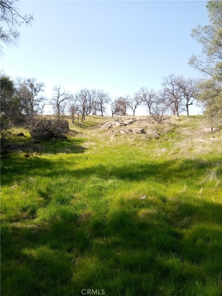 a view of a large yard with lots of green space