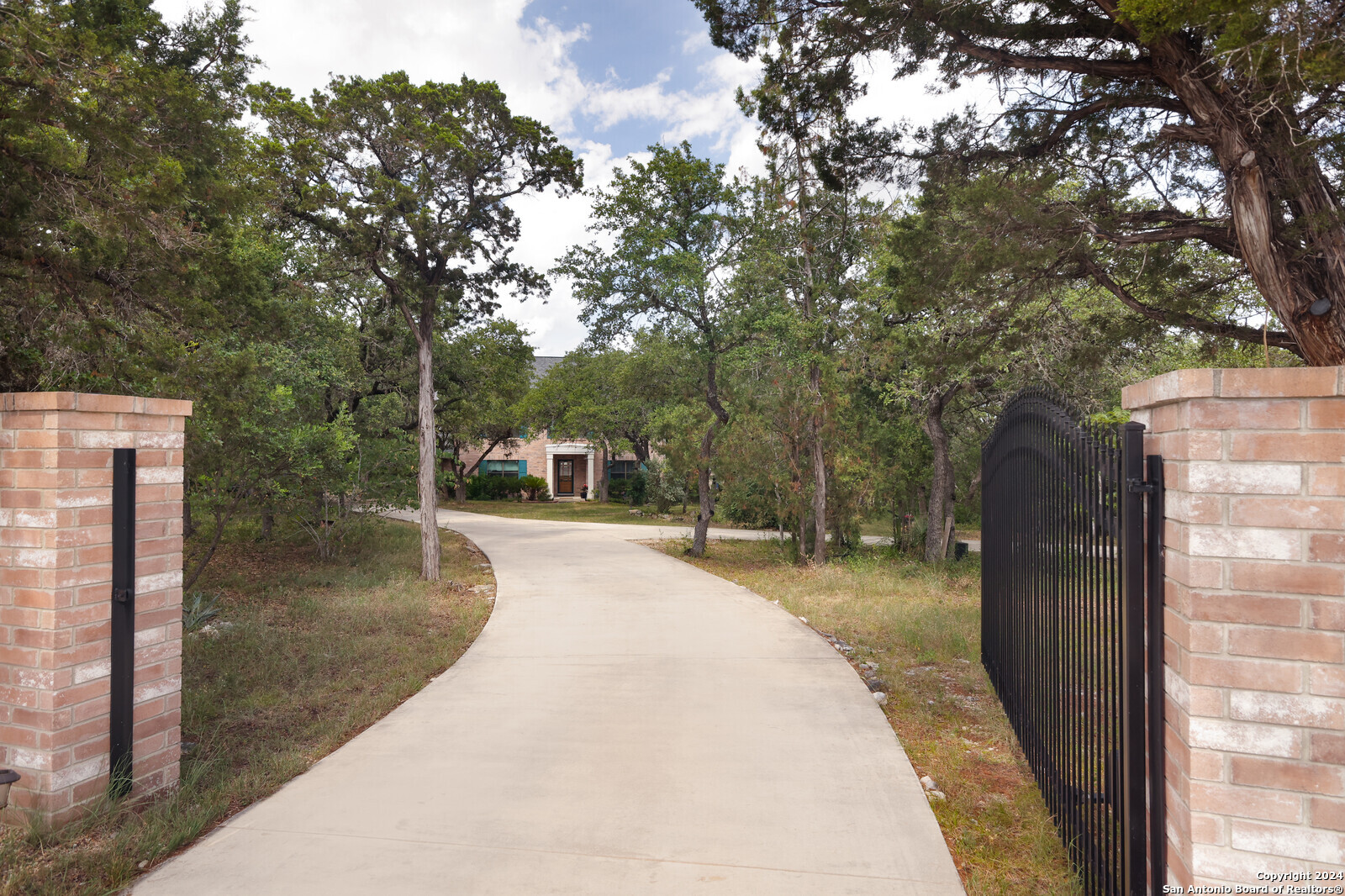 a view of a backyard with large trees