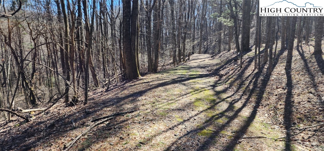 a view of a backyard with pathway