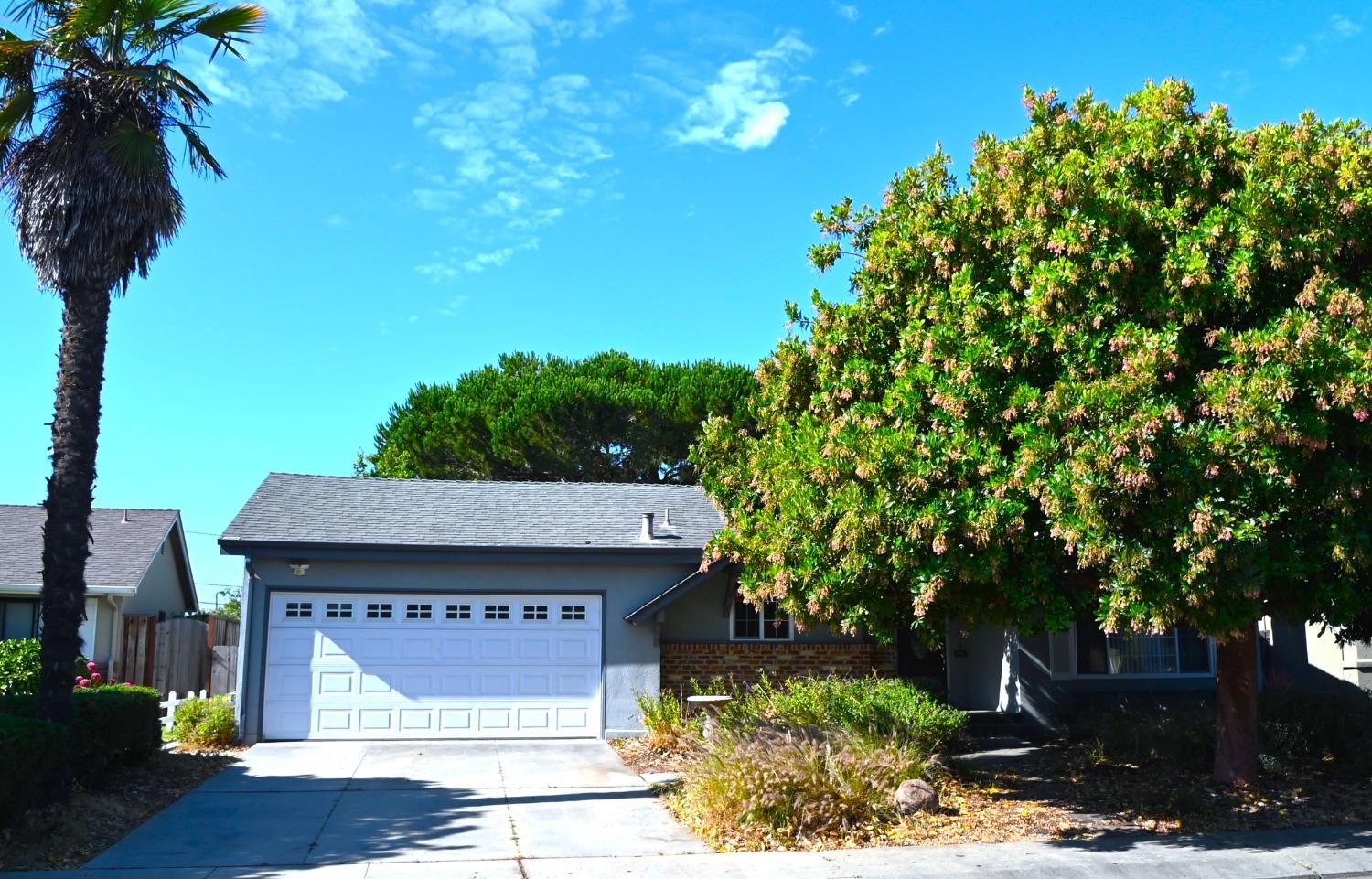 a view of a house with a tree