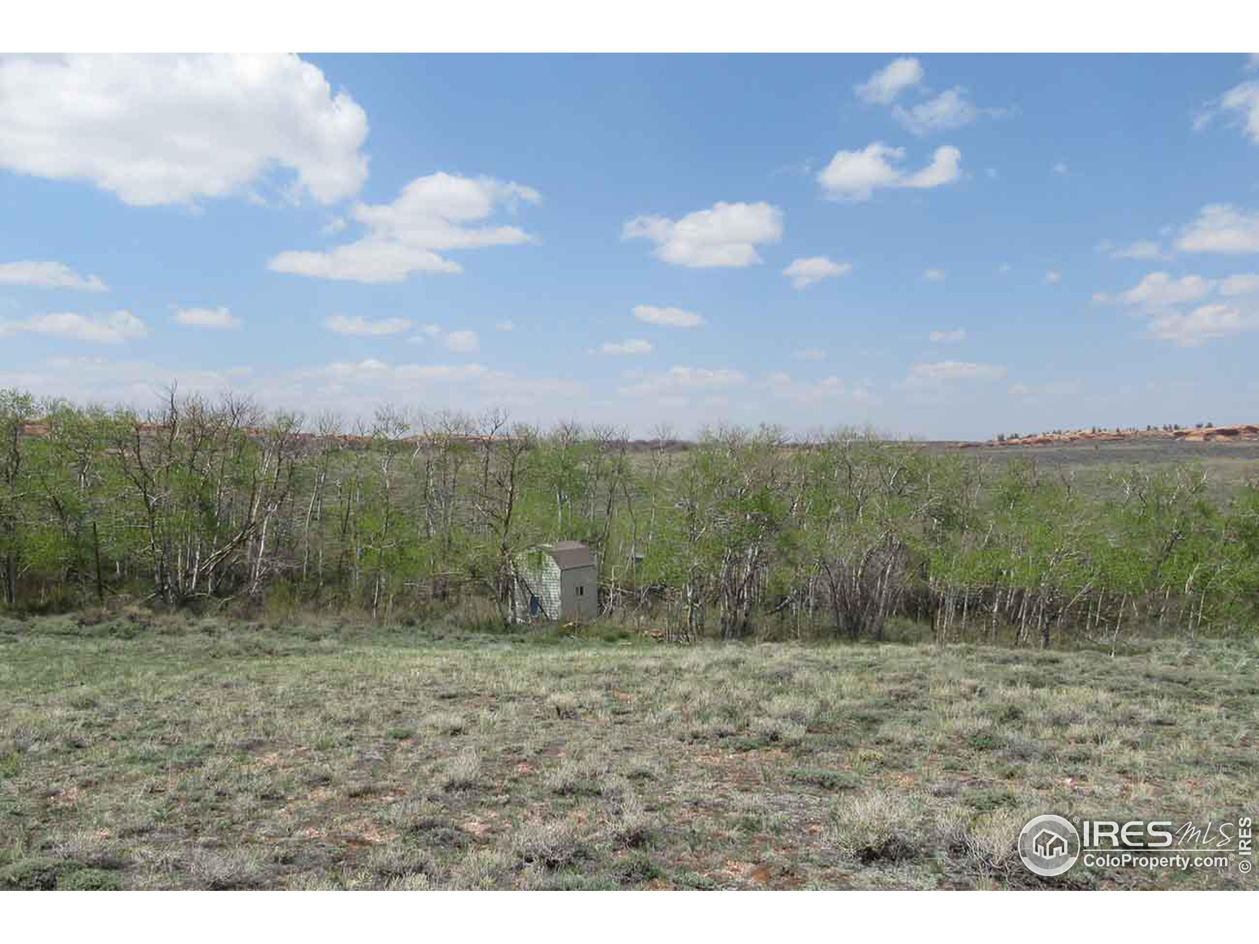 a view of a dry yard with trees