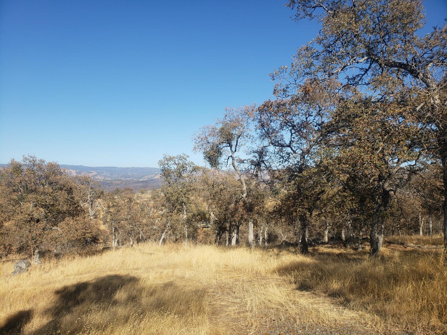 a view of dirt yard and mountain view