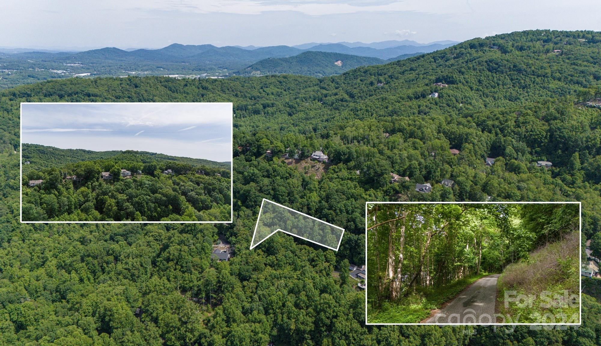 a view of a forest with a mountain view