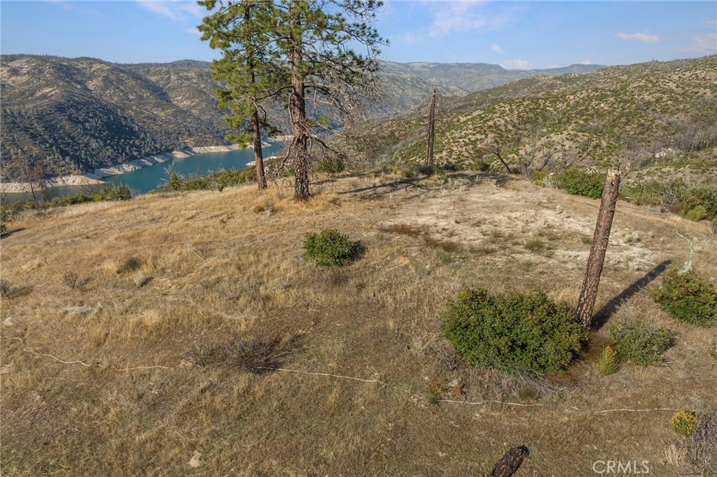 a view of a yard with a mountain