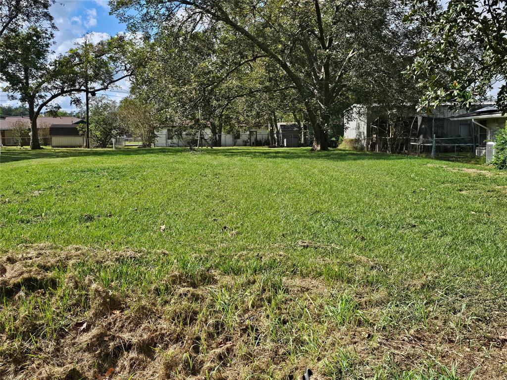 a view of green field with trees in the background