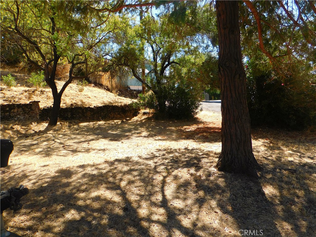 a view of a yard with a tree