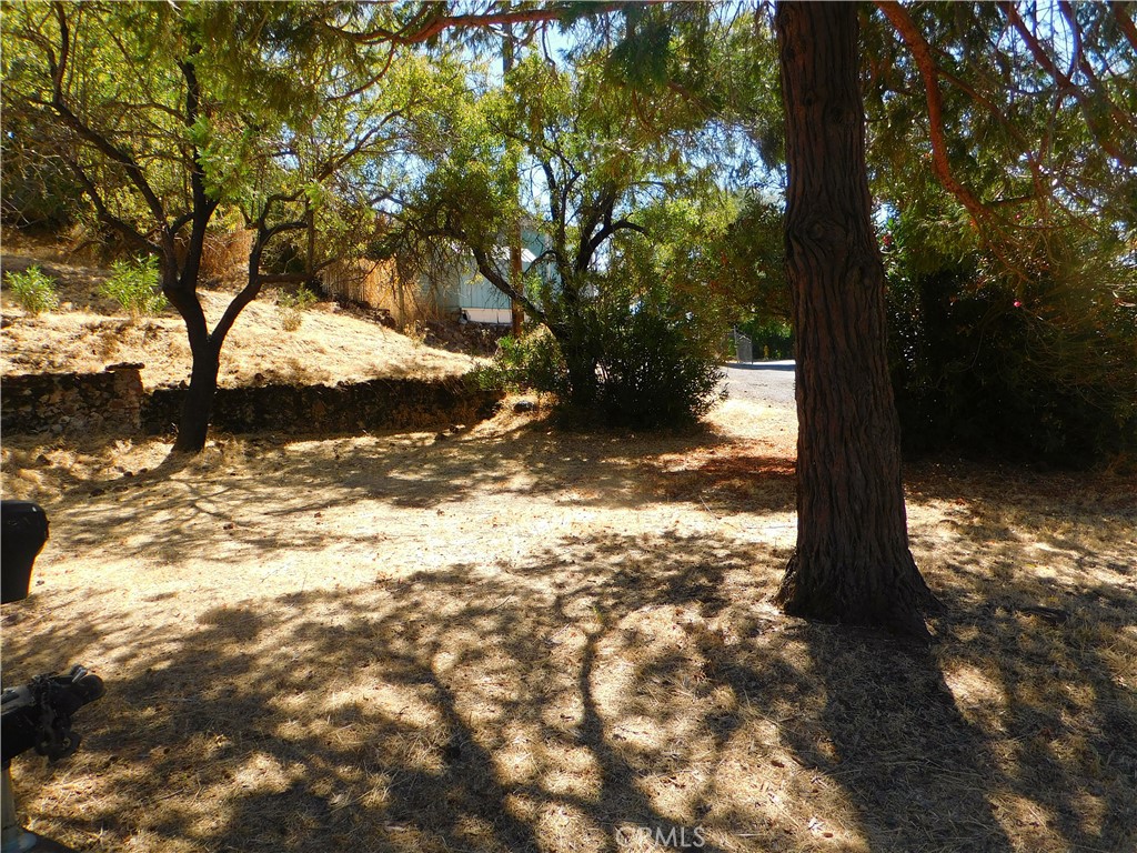 a view of a yard with a tree