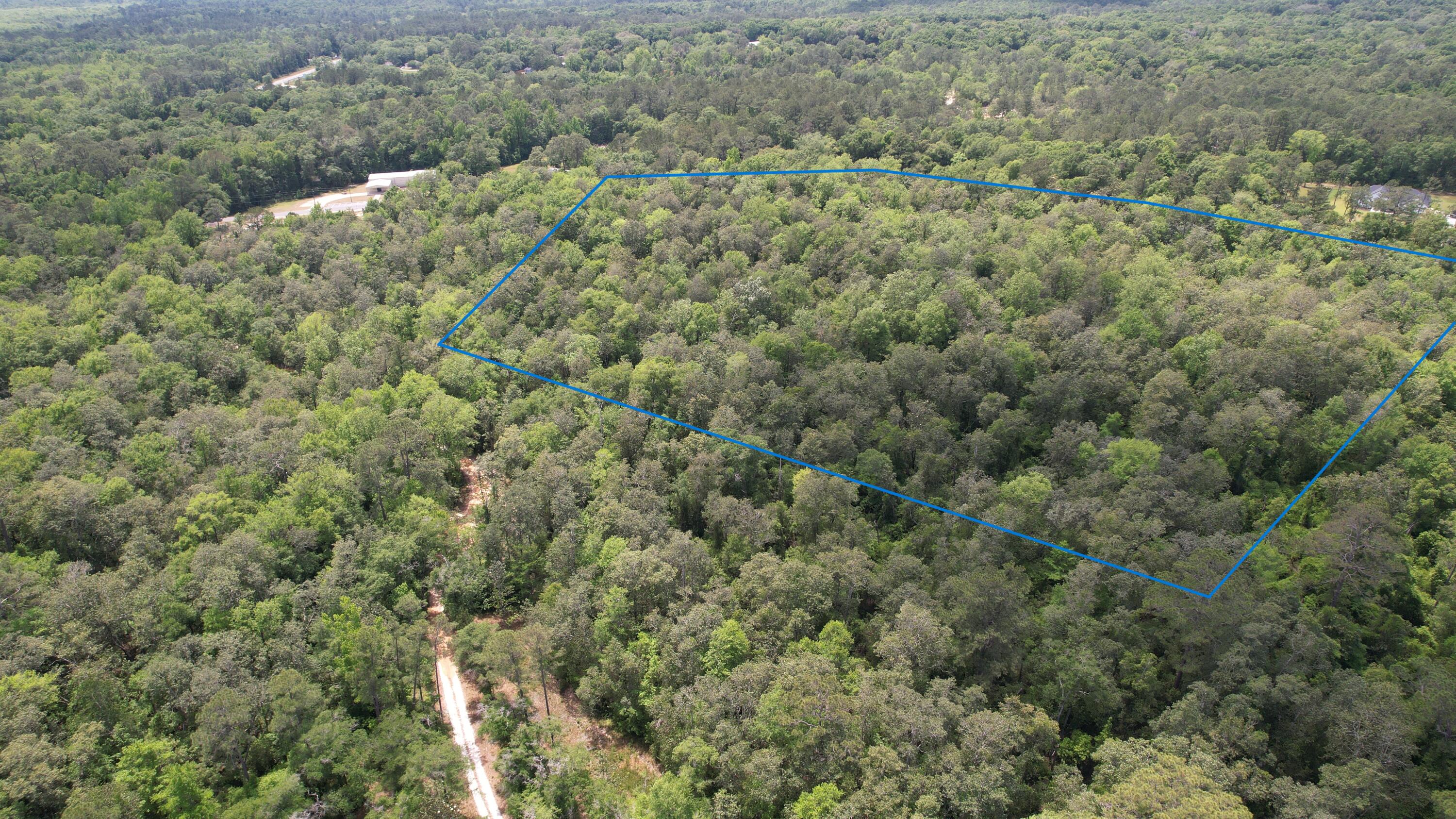 an aerial view of forest