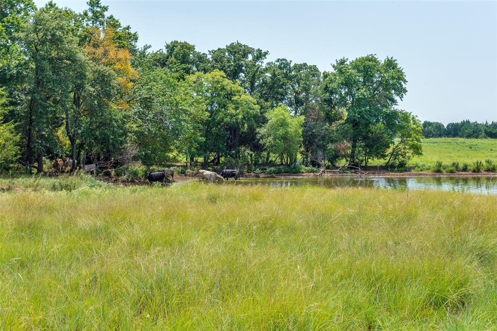 a view of outdoor space with swimming pool and green space