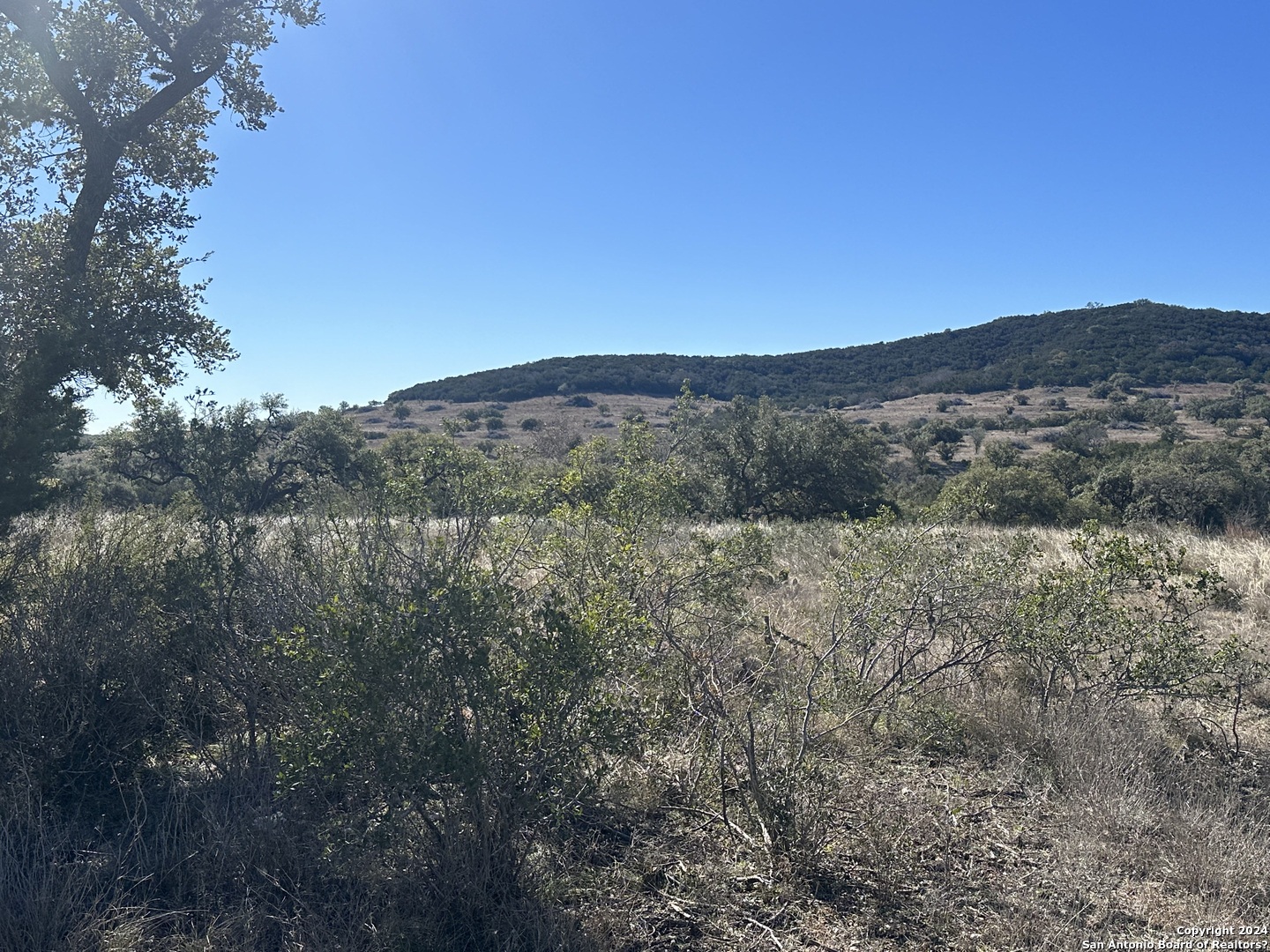 a view of a dry yard with mountains in the background