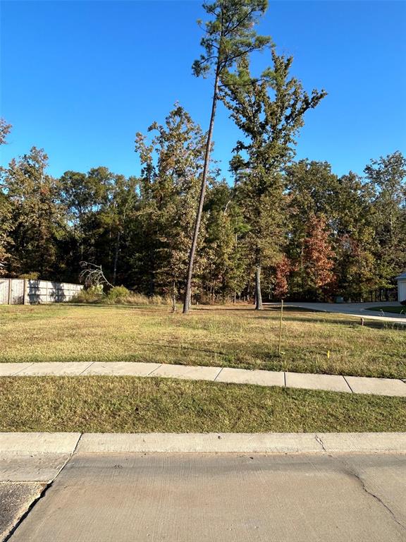 a view of a yard with a house