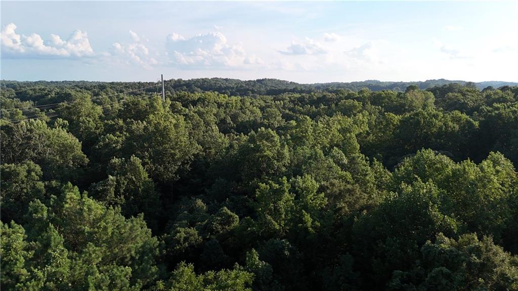 a view of a city with lush green forest