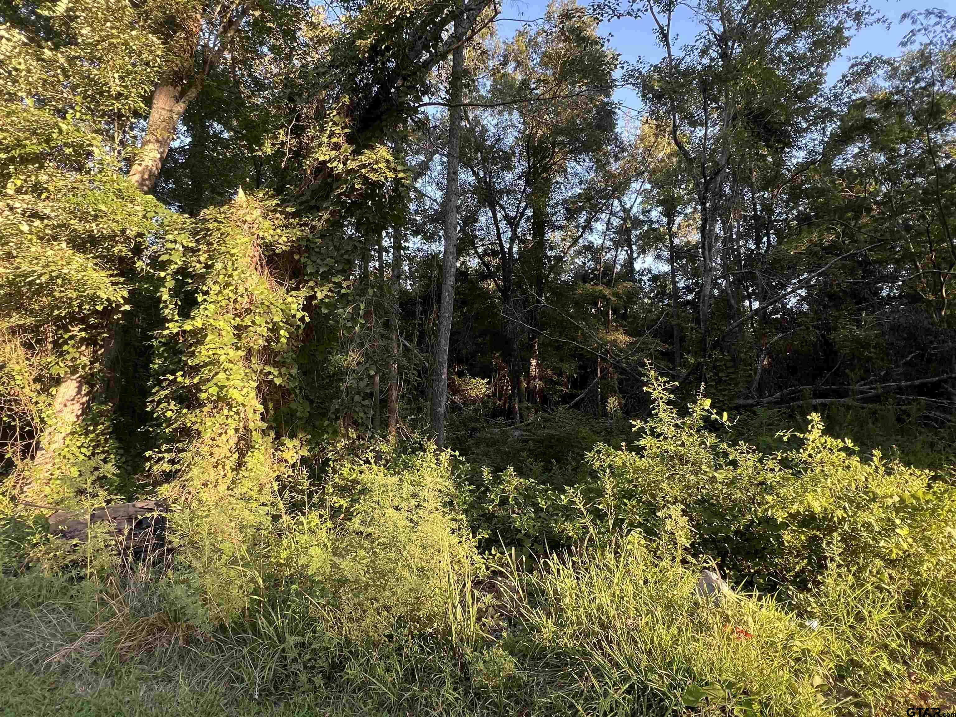 a view of a house with a tree